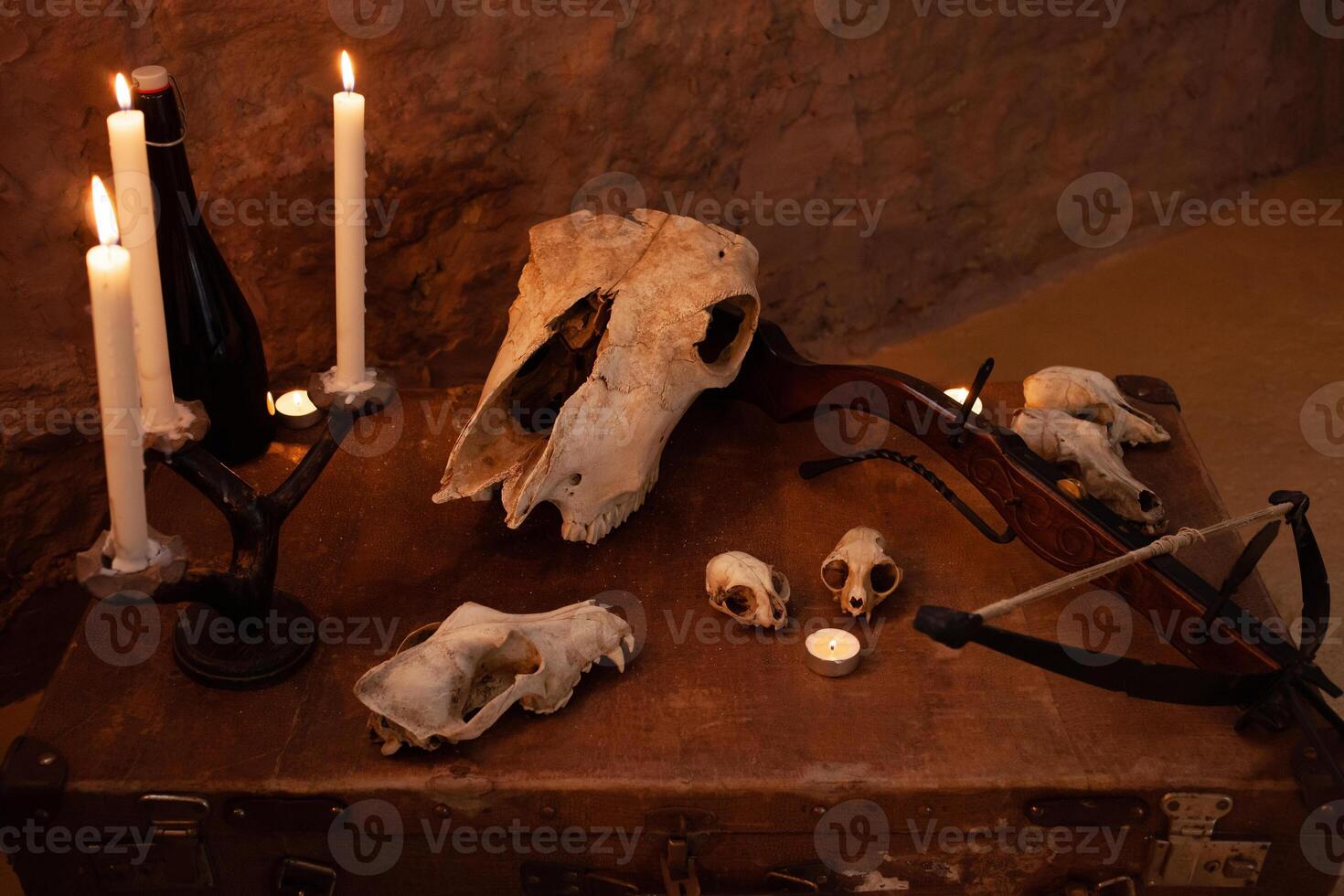 Foto zon i de studio för halloween. dramatisk, landskap för Allt helgon dag firande. oktober 31, Foto studio. skallar av djur på ett gammal resväska, ljus i en kontor, en armborst.