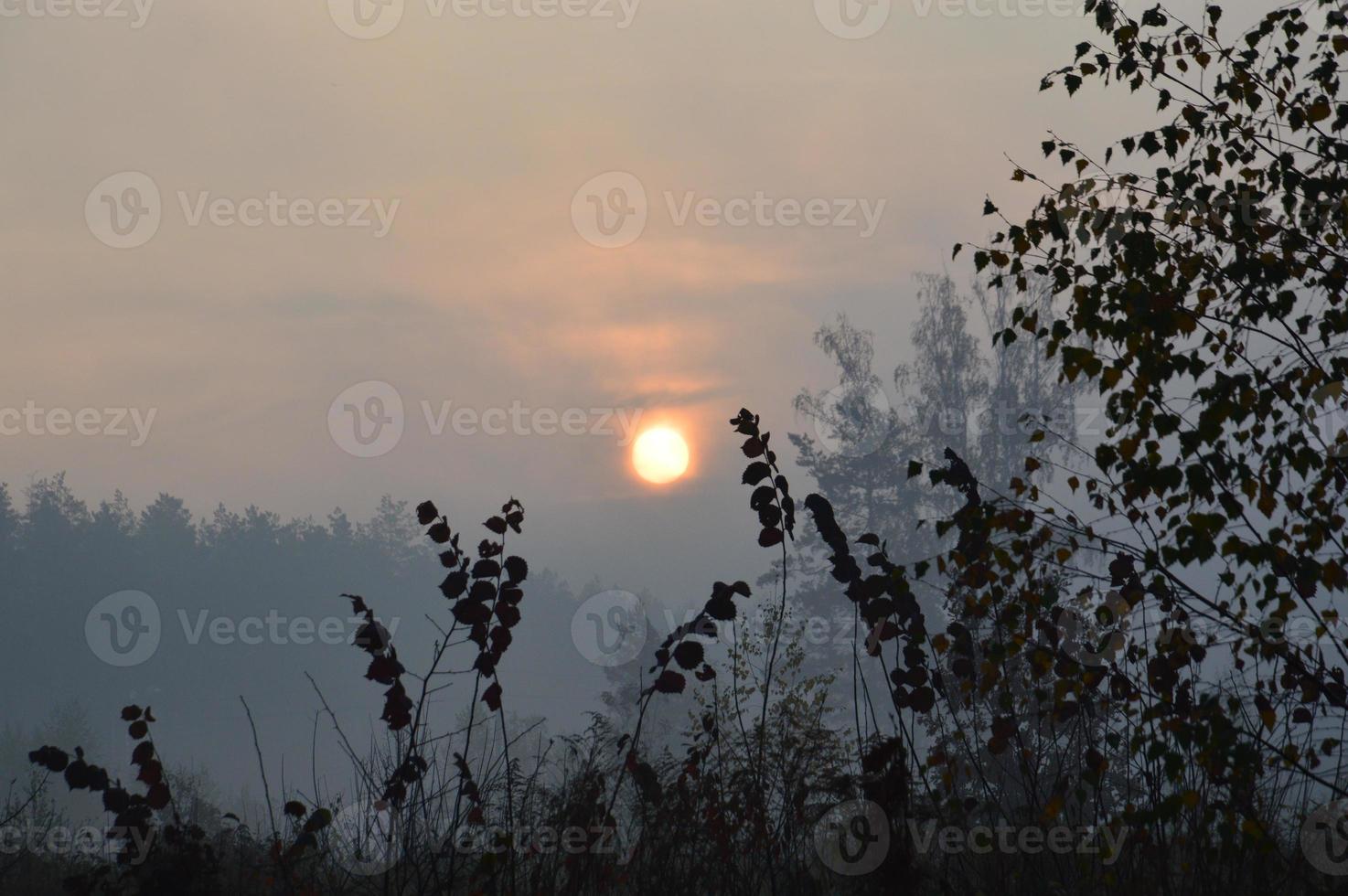 morgonsolen går upp i horisonten i skogen och byn foto