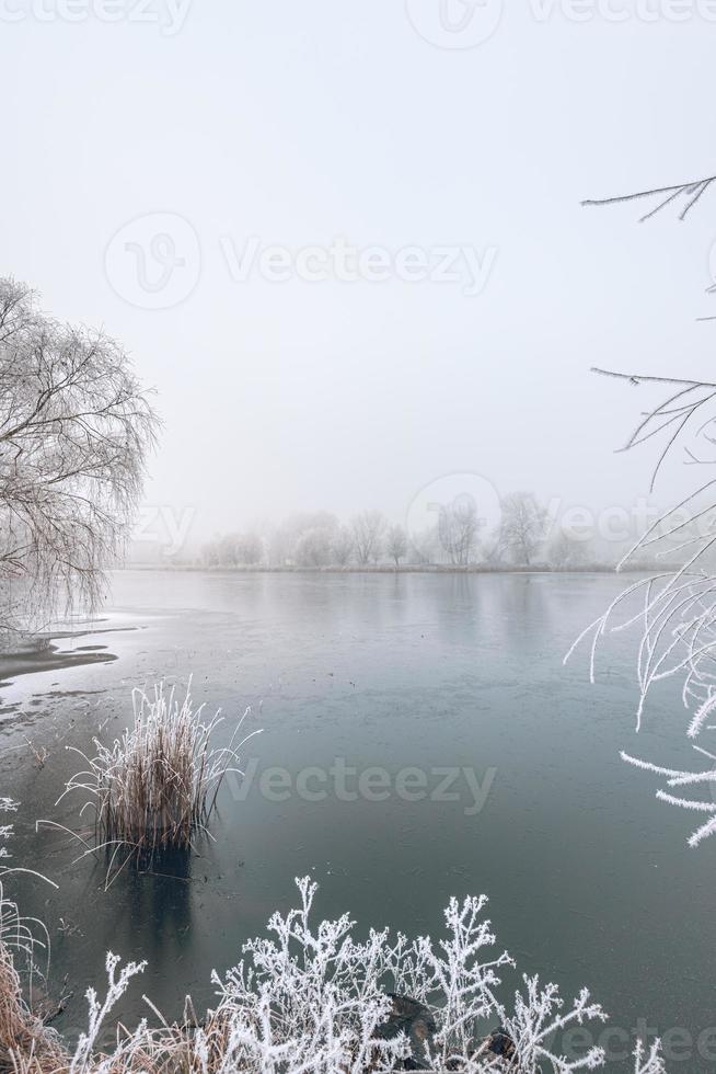 panoramamorgondimma över frusen sjö. vinter naturlandskap. dimmigt dimmigt morgonljus, fridfull natur, frost, kall vinterdag foto