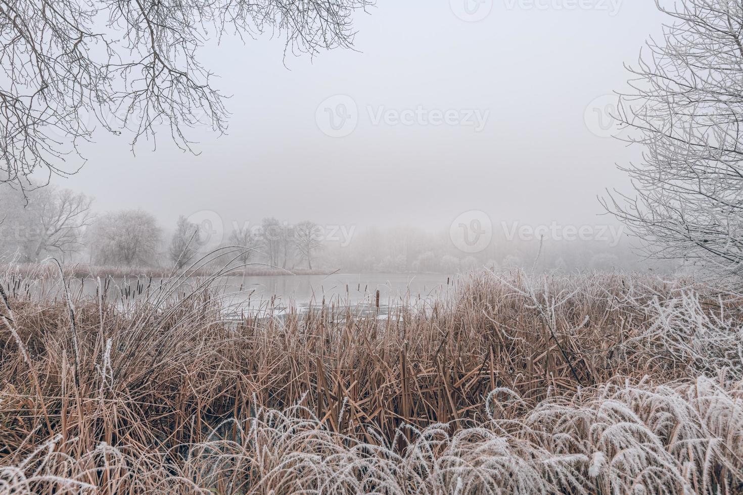 vinter skog och frusen sjö solnedgång. panorama landskap med snöiga träd, sol, vacker frusen flod med reflektion i vatten. kallt vinterlandskap konstnärligt dimmigt morgonljus. säsongsbetonad natur foto