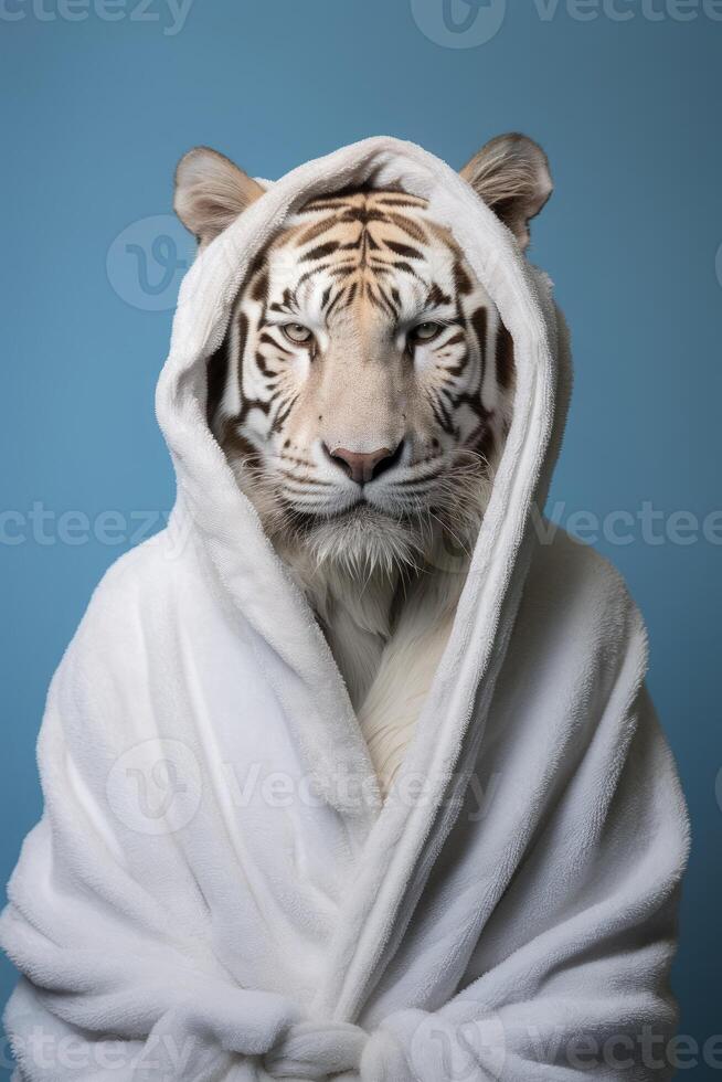 ai genererad tiger med vit morgonrock pastell blå bakgrund. foto