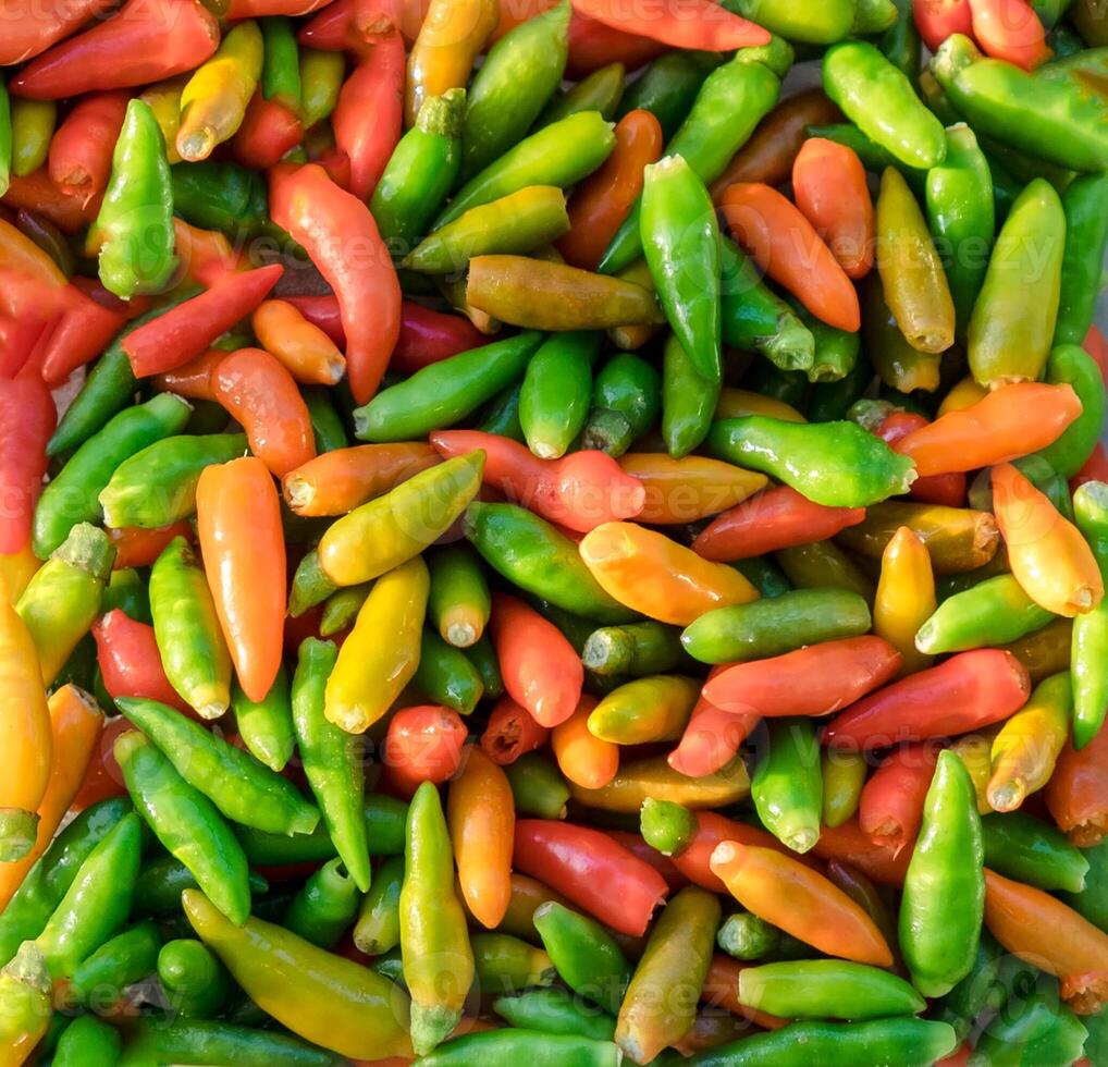 varm chilis ingrediens mat färgrik bakgrund foto