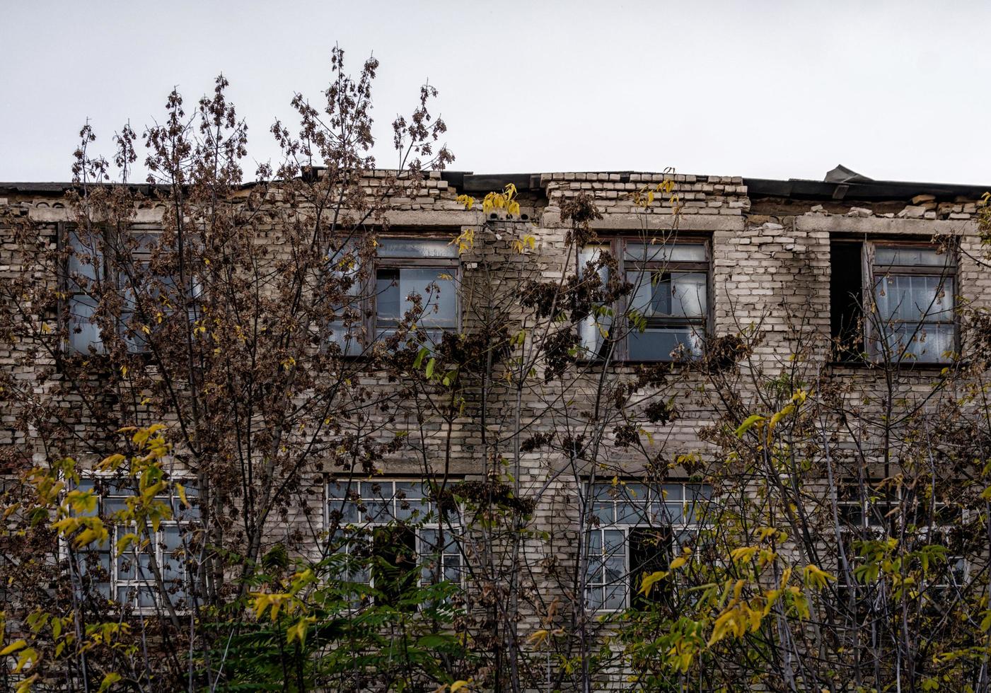 pripyat, Ukraina, 2021 - övergiven byggnad bland träden i Tjernobyl foto