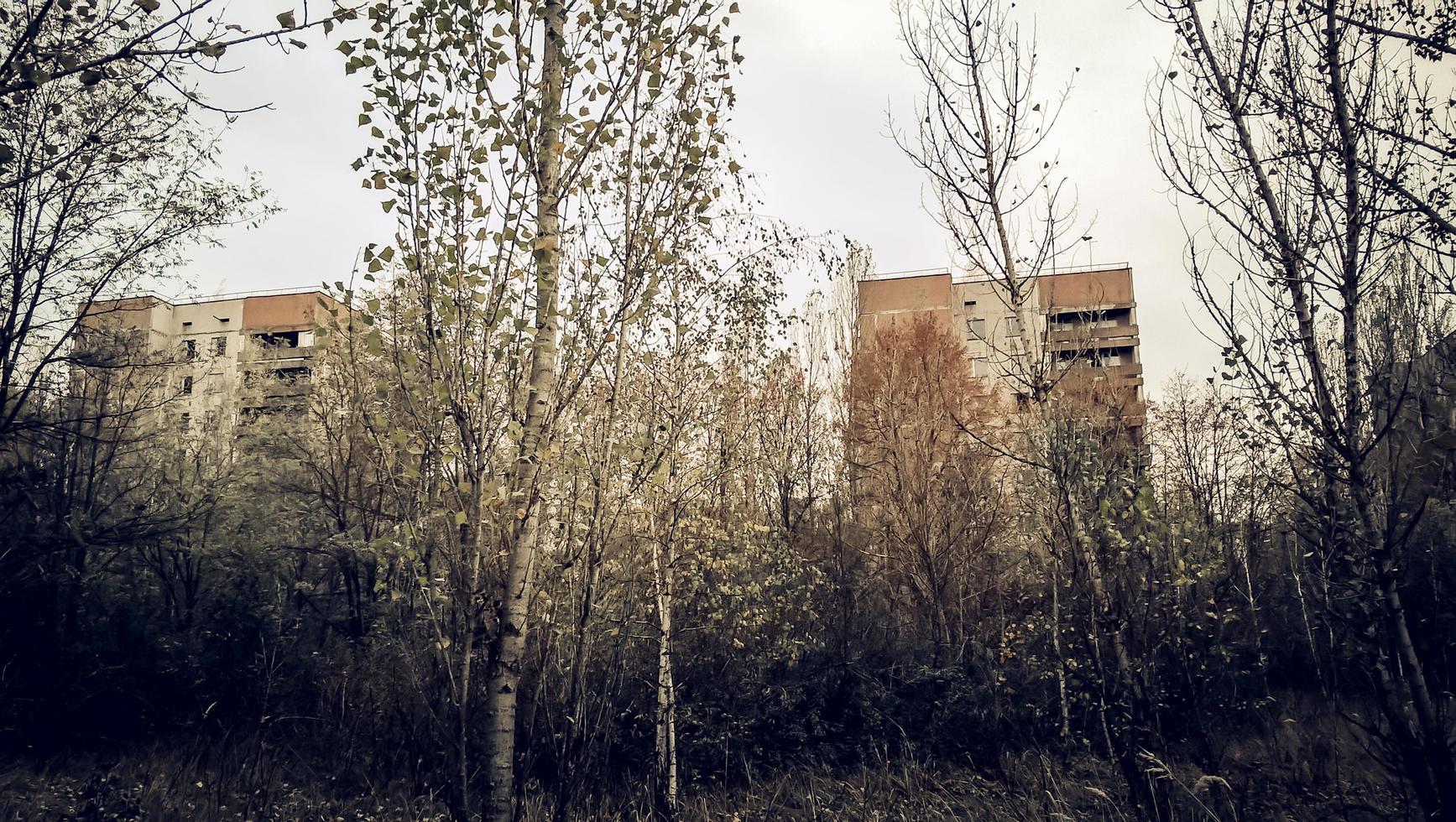 pripyat, Ukraina, 2021 - byggnader i skogen i Tjernobyl foto