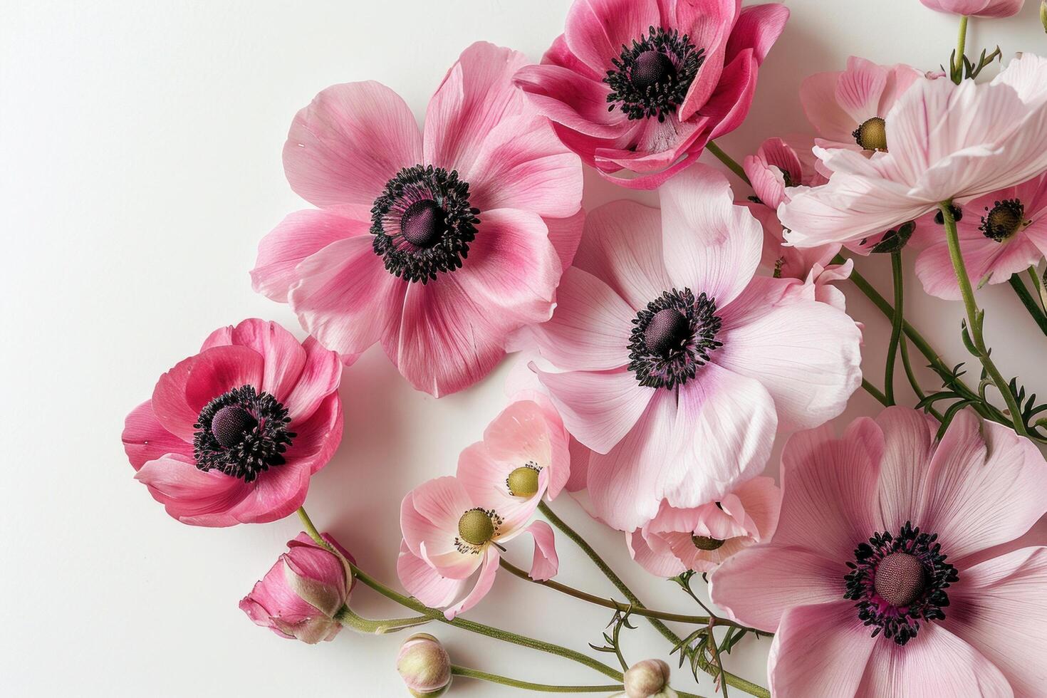 ai genererad rosa anemoner på en vit bakgrund foto