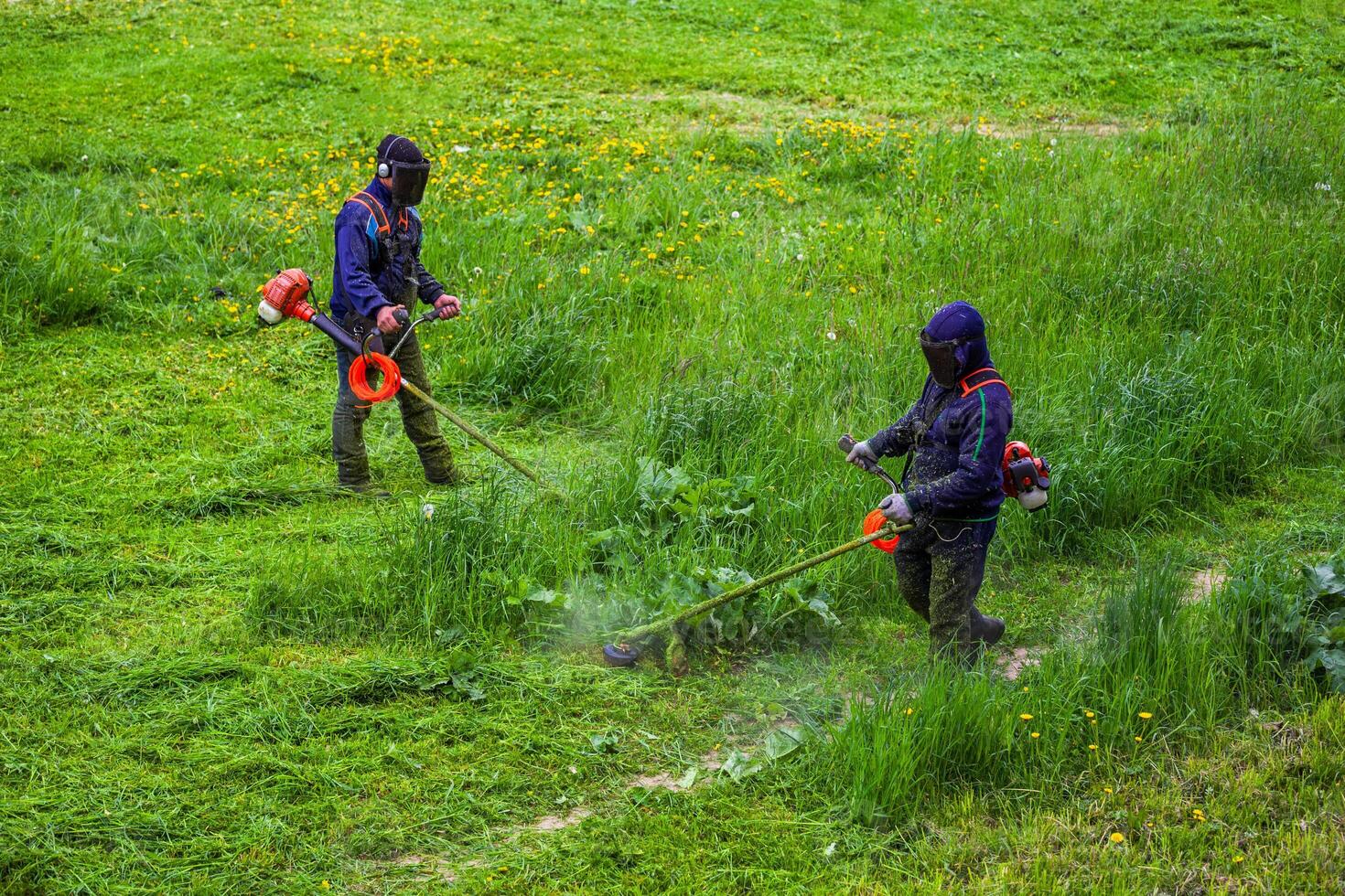 två kommunal gräsklippare män med sträng trimmers trimning gräs på solig dag foto