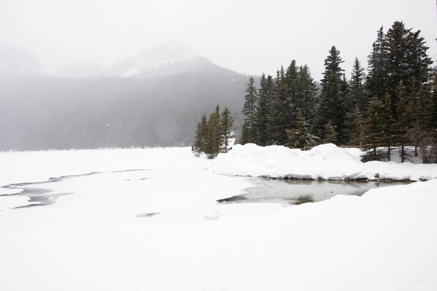 vackert vinterlandskap med en frusen sjö och pinetrees. en skog och berg i bakgrunden. Banff National Park, Kanada foto