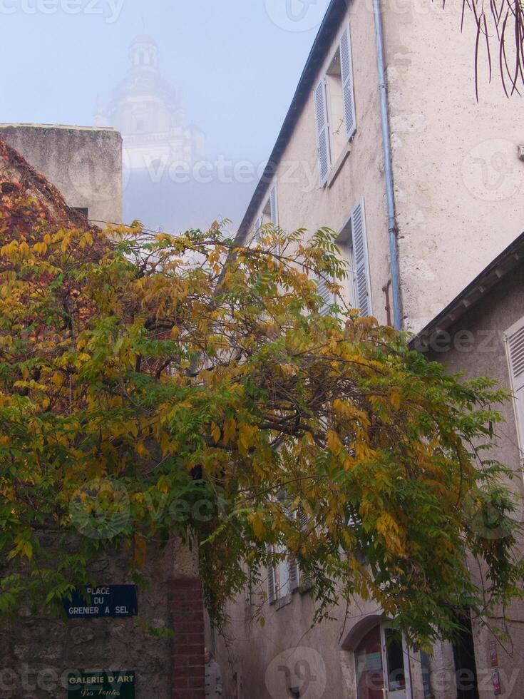 en träd med gul löv foto
