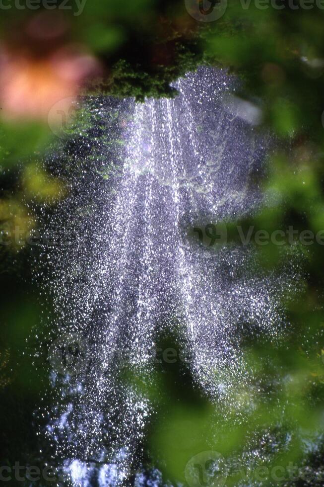 vatten spray från en fontän i de skog foto