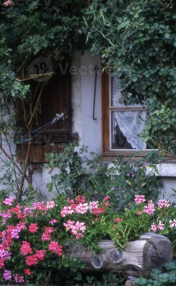 en trä- bänk med blommor i främre av en hus foto