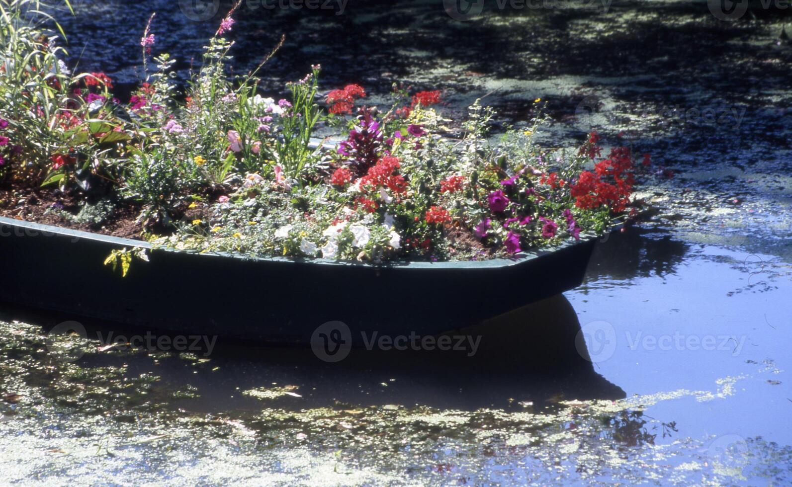 en båt fylld med blommor foto