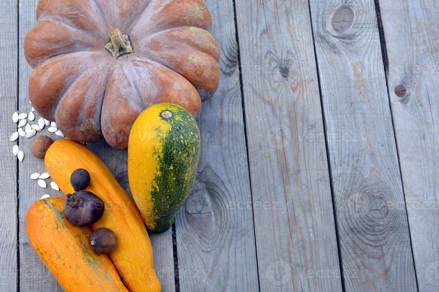 pumpor med zucchini på en träbakgrund. naturlig bakgrund med pumpor för halloween. foto