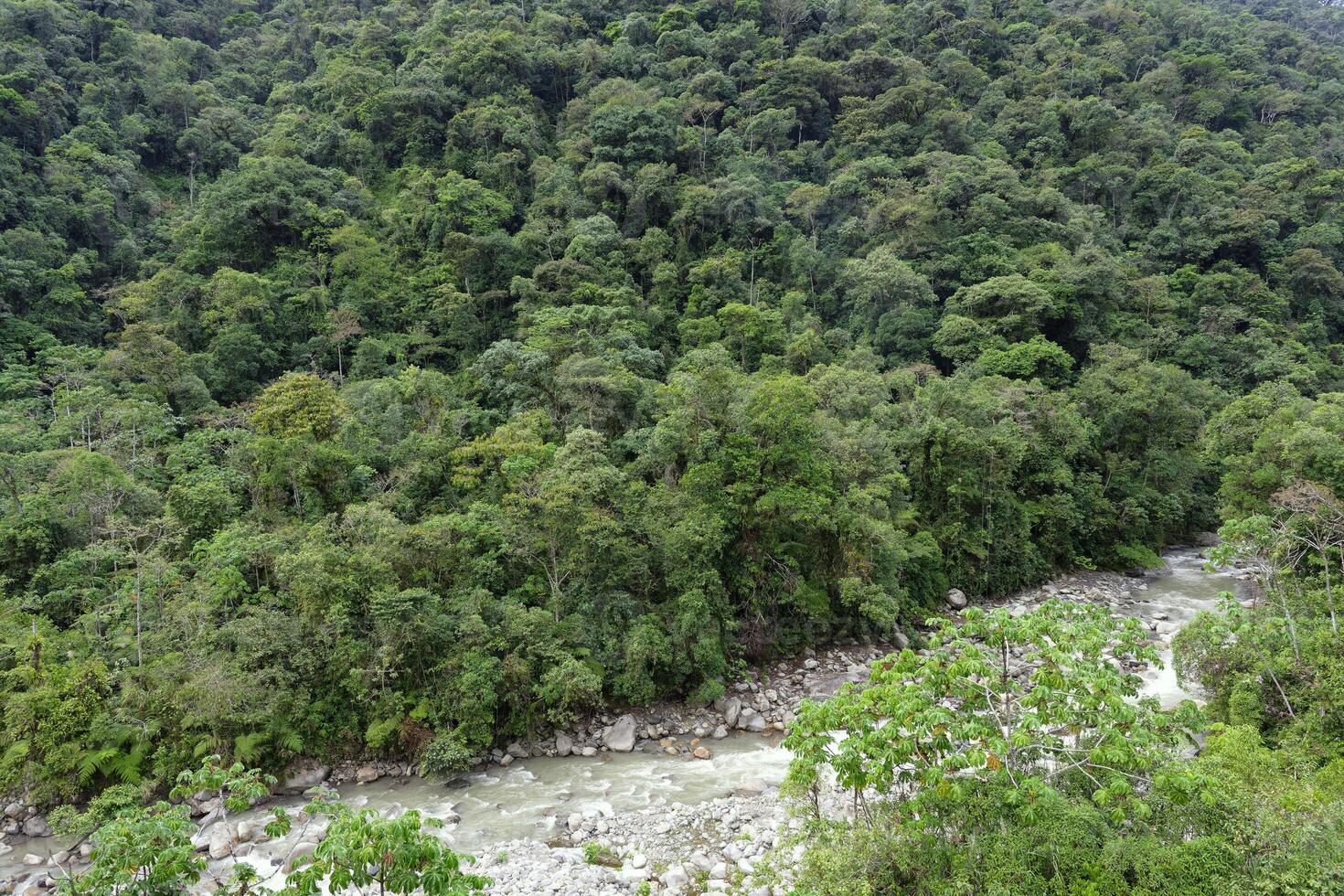 tropisk moln skog landskap, manu nationell parkera, peru foto