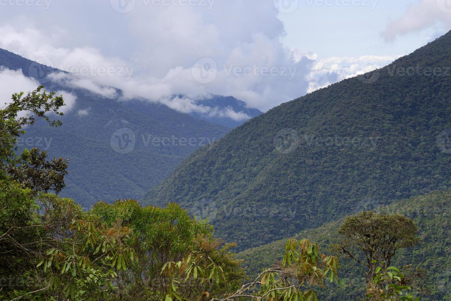 tropisk moln skog landskap, manu nationell parkera, peru foto