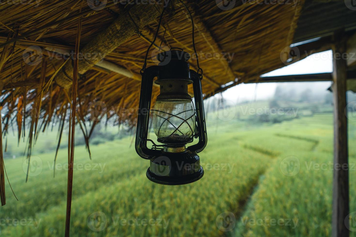 i en träkoja i ett grönt risfält foto