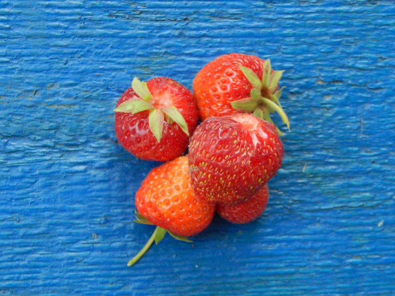 samla jordgubbar i trädgården och grönsaksgården foto