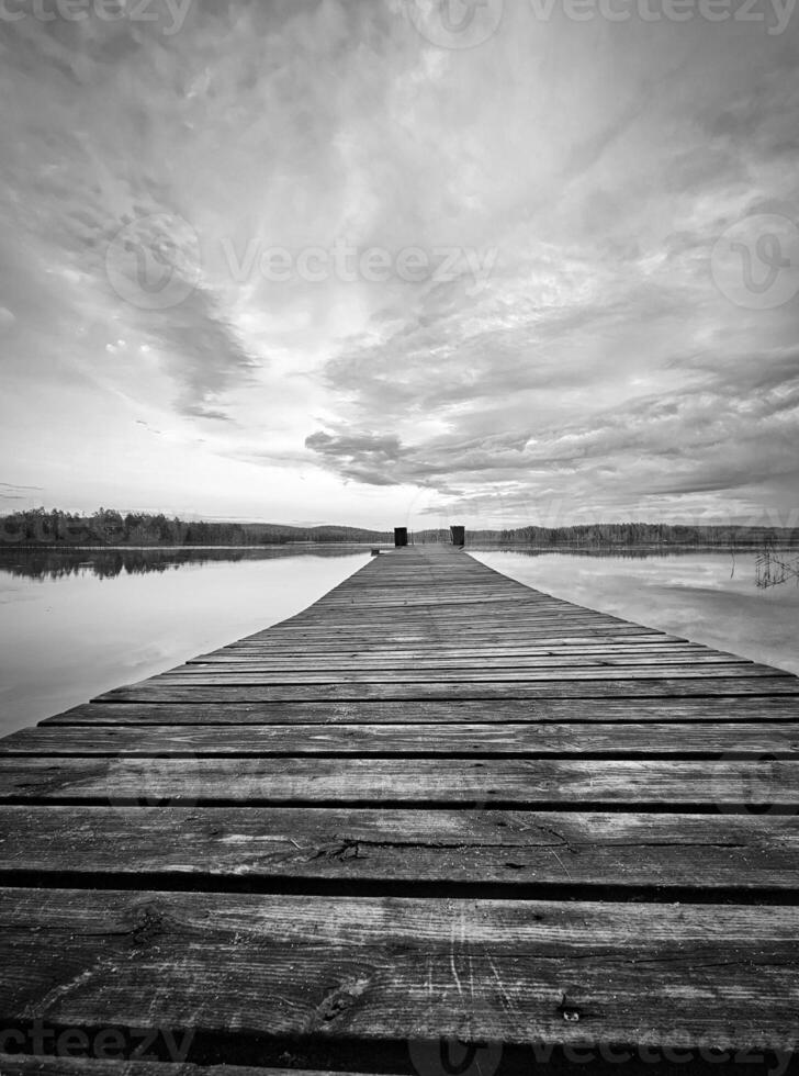 trä- brygga utskjutande in i en svenska sjö i svart och vit. natur fotografera foto