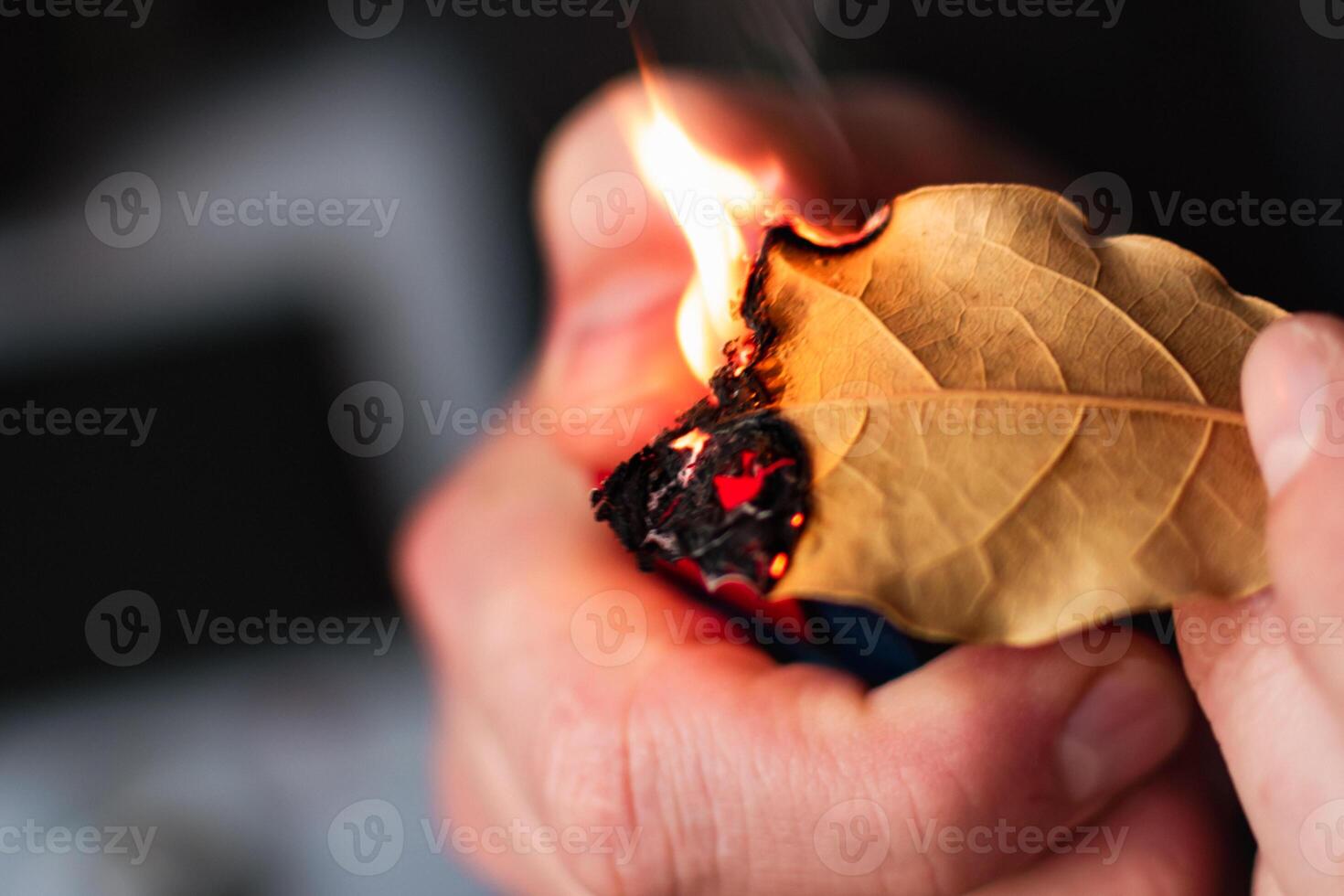 person vem bränna bukt löv till föra lugn, minska ångest, lindra huvudvärk och Trötthet och rena de Hem, laurus nobilis foto