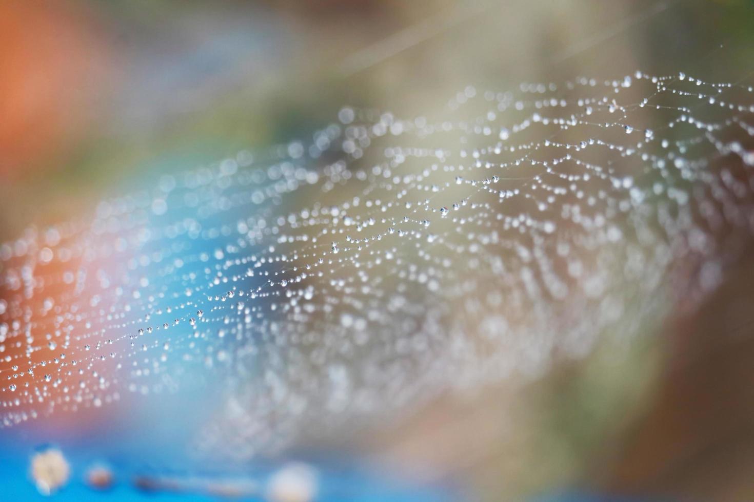 suddig abstrakt spindelnät naturlig med regndroppe på linjen mot solen foto