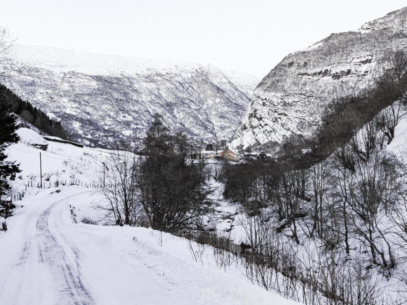 vacker idyllisk utsikt från väg till by, framfjorden, norge. foto