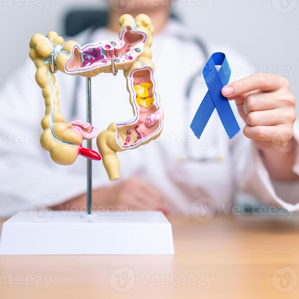 läkare innehav blå band med mänsklig kolon anatomi modell. Mars kolorektal cancer medvetenhet månad, kolon sjukdom, stor inälvor, ulcerös kolit, matsmältnings systemet och hälsa begrepp foto