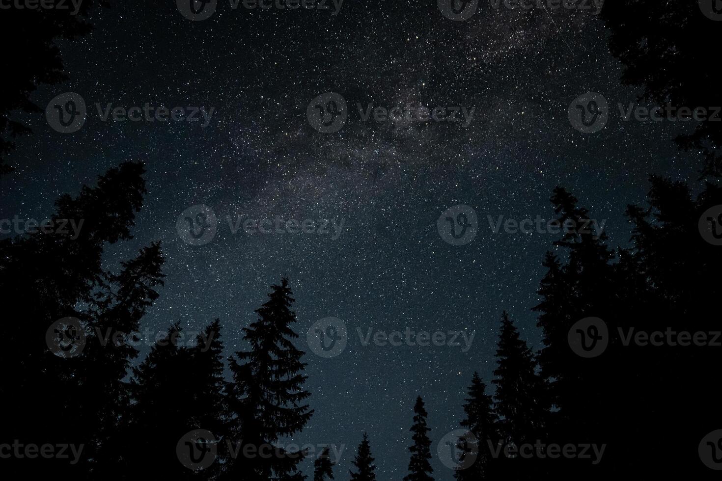 mjölkig sätt galax över de skog. starry natt bakgrund. foto