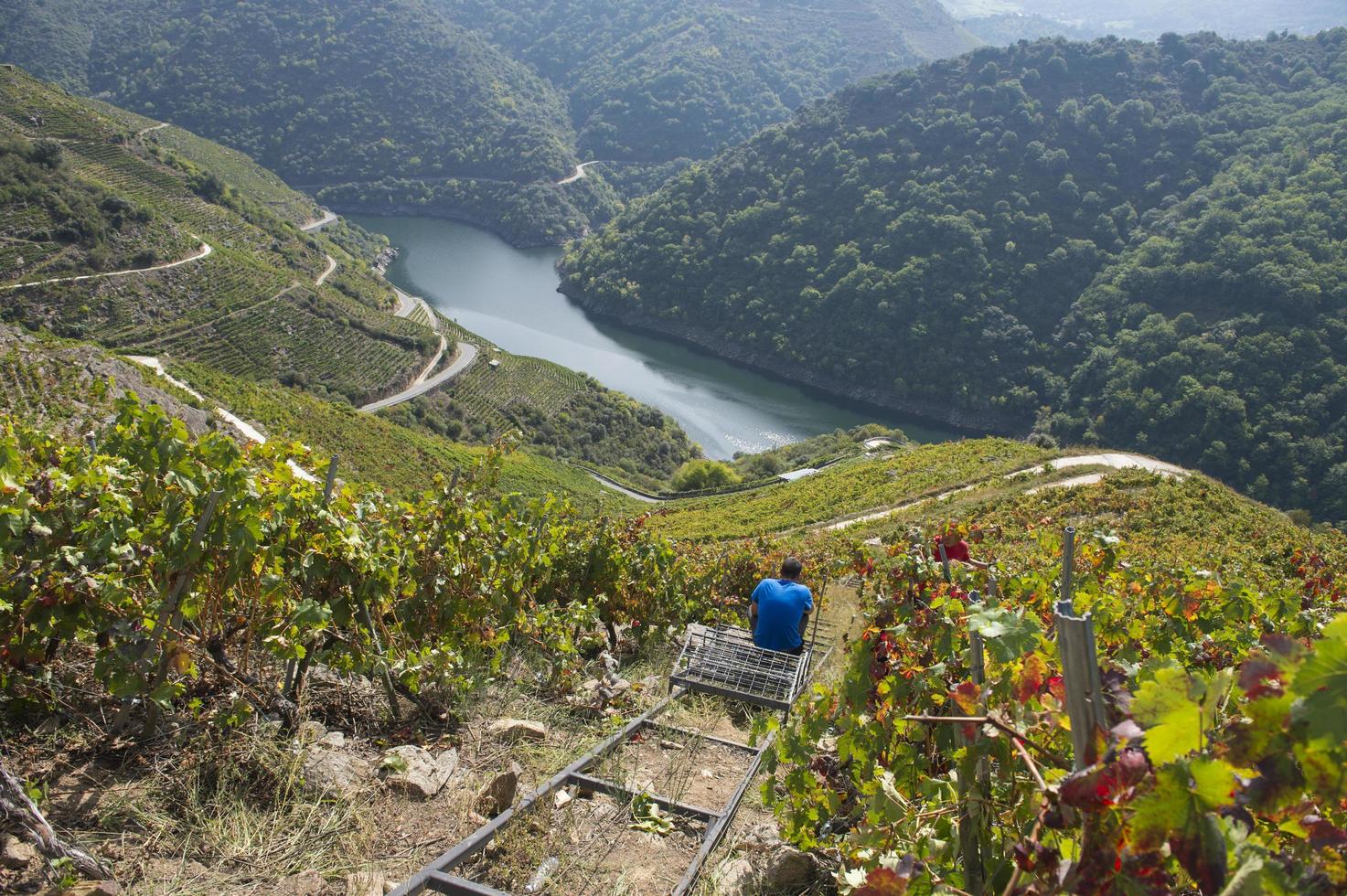 ribeira sacra, Galicien, Spanien, 2021 foto