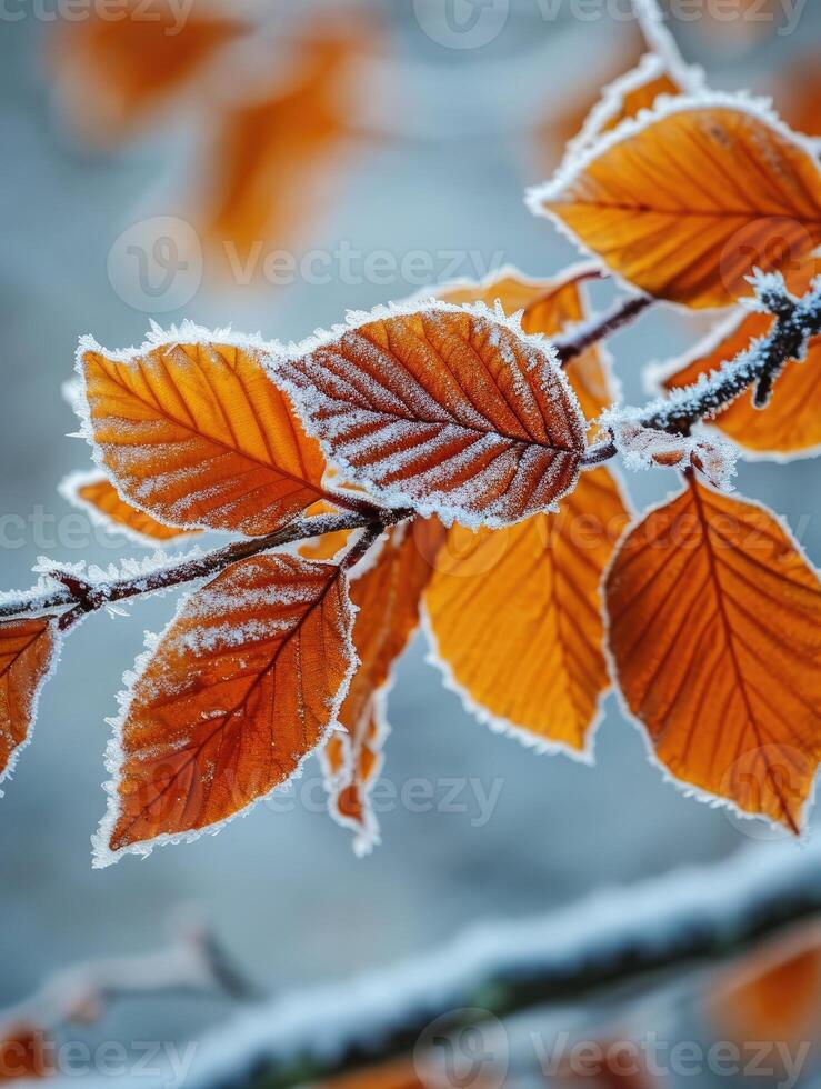 ai genererad orange bok löv täckt med frost i sent falla eller tidigt vinter. foto