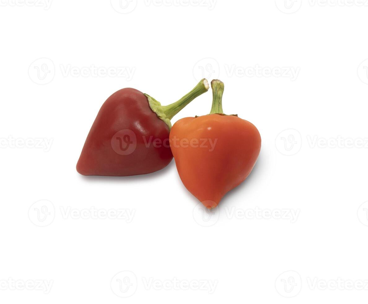 två små varm paprikor på en vit bakgrund. röd och orange chili paprika. foto