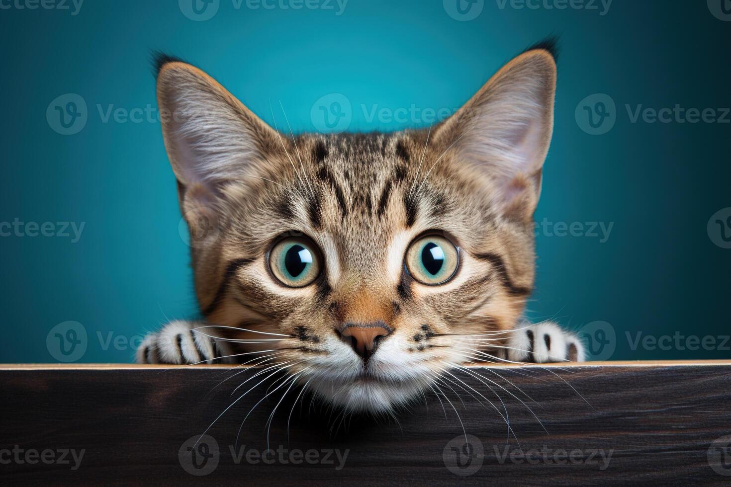 ai genererad söt tabby katt kikar ut trä- plankor mot en blå bakgrund foto