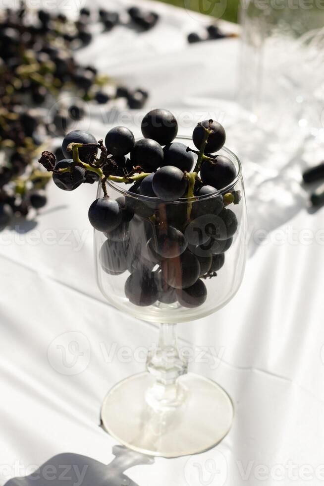jag kärlek de se av dessa harmoni vindruvor Allt runt om och några Sammanträde i de vin glas. de djup lila Färg av dessa klot Allt runt om. de glas påminner du av smuttar några färsk vin. foto