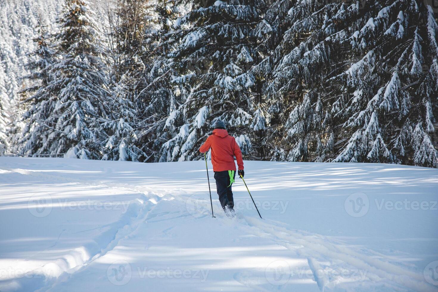 ung vuxen längdåkning skidåkare åldrig 20-25 framställning hans egen Spår i djup snö i de vildmark under morgon- solig väder i beskydy berg, tjeck republik foto
