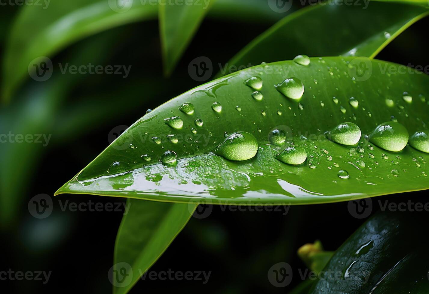 ai genererad en grön blad Utsmyckad med gnistrande vatten droppar, vatten bevarande begrepp foto