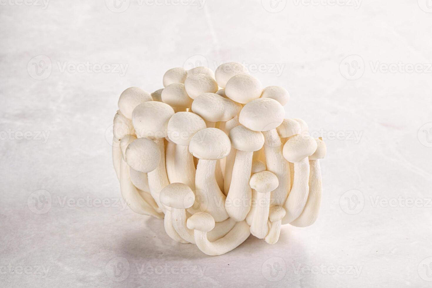 japansk shimeji svamp för matlagning foto