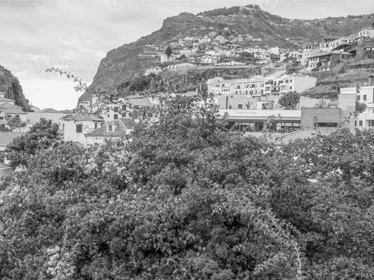 ön madeira i portugal foto