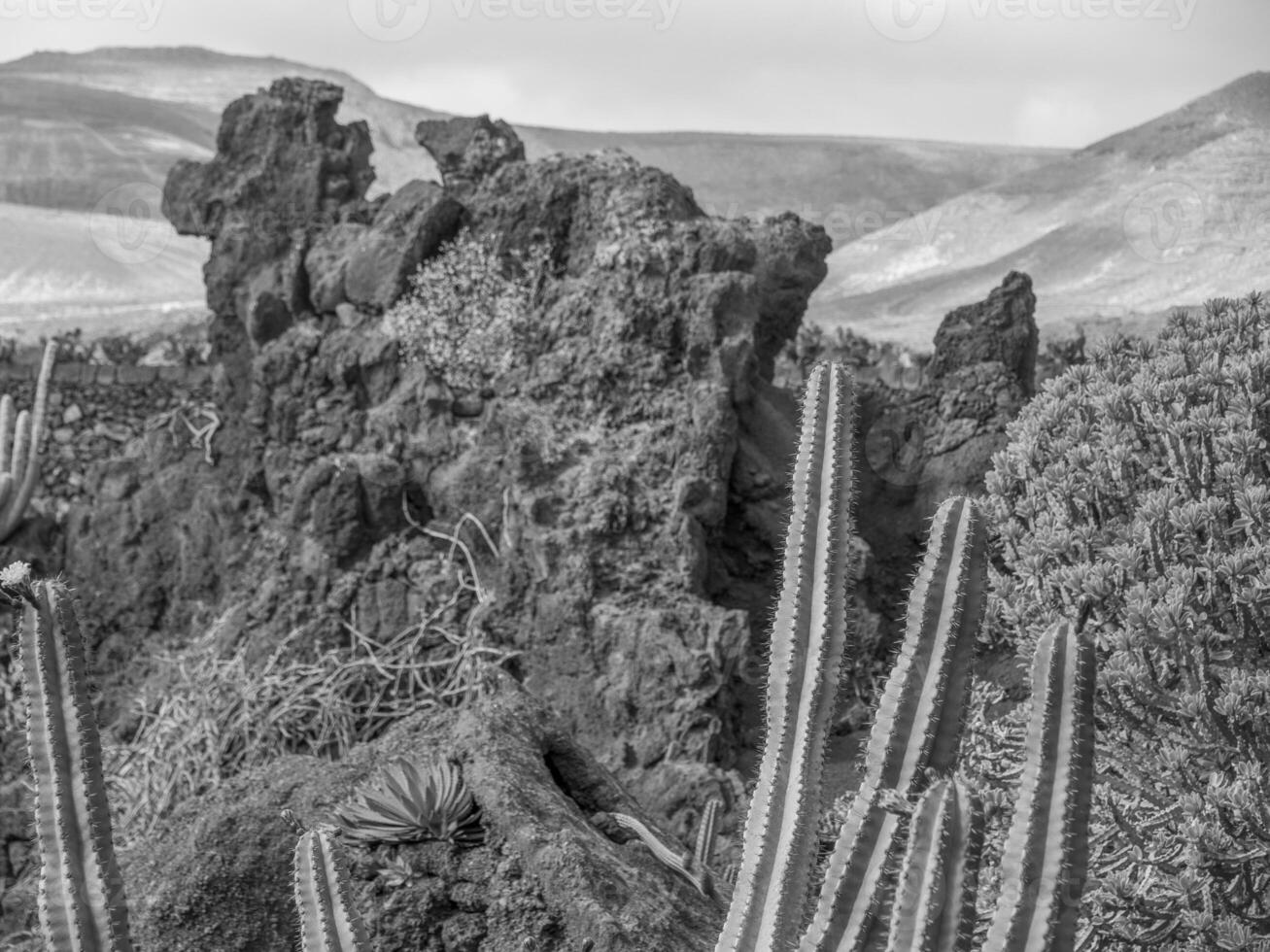 ön lanzarote foto