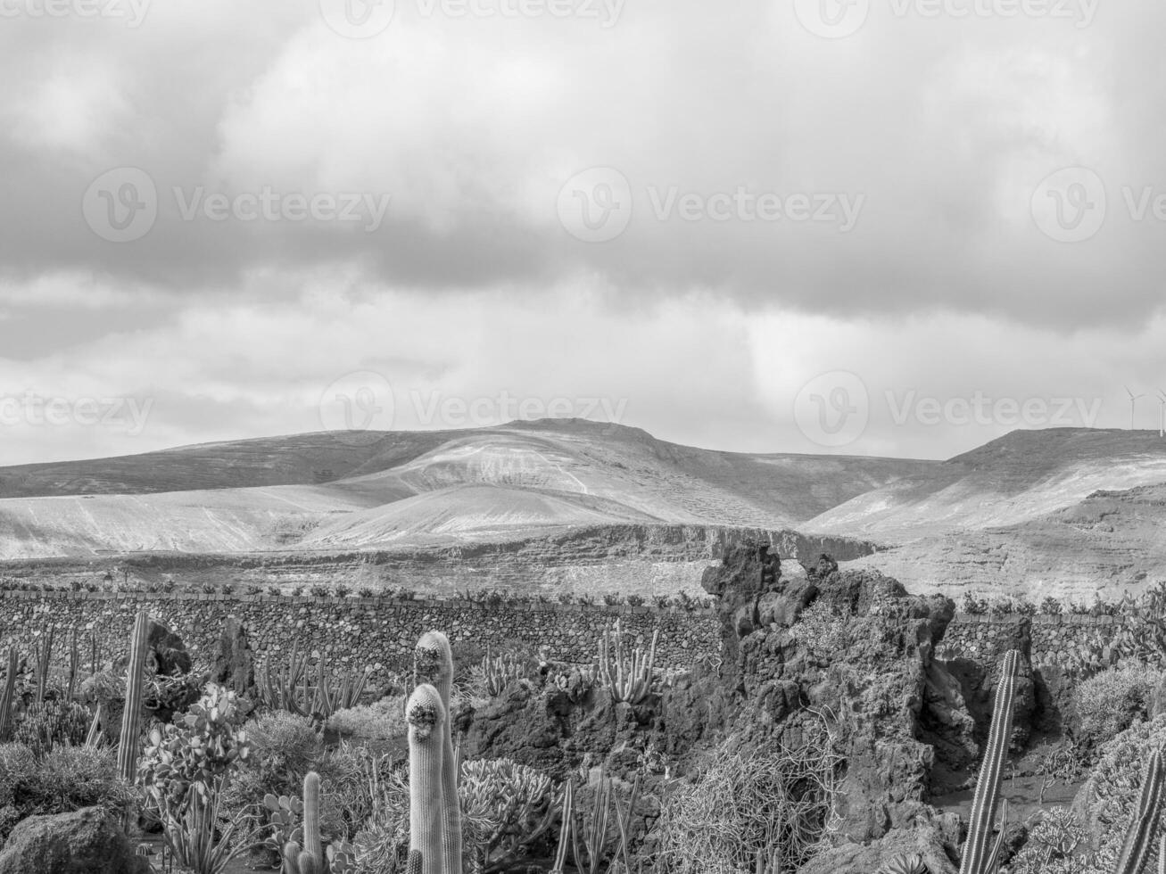 ön lanzarote foto