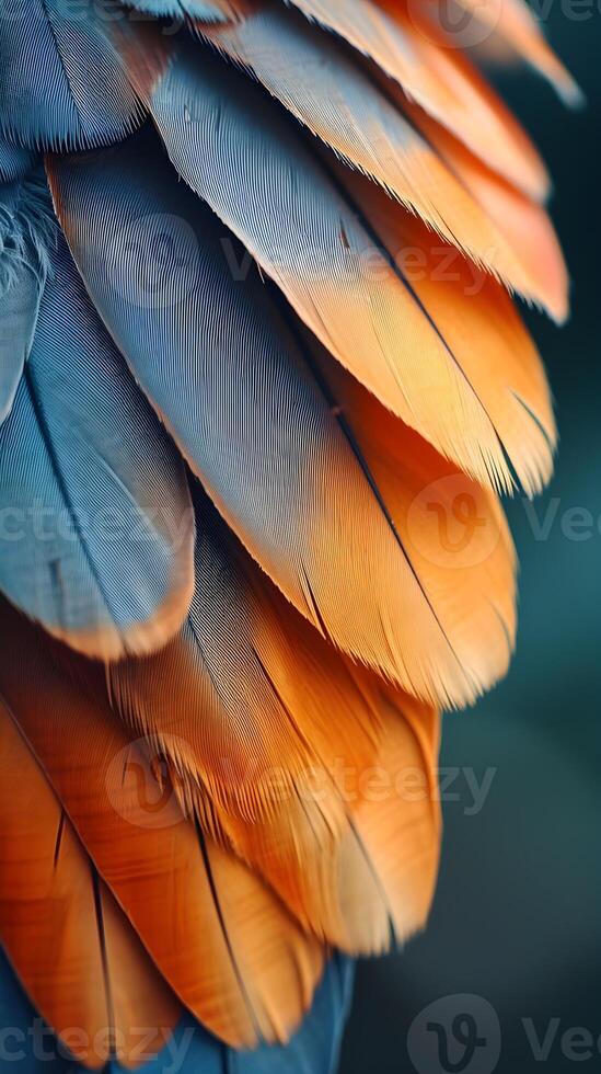 ai genererad elegant detaljer av enskild fjädrar på en fågel, bakgrund bild, ai genererad foto