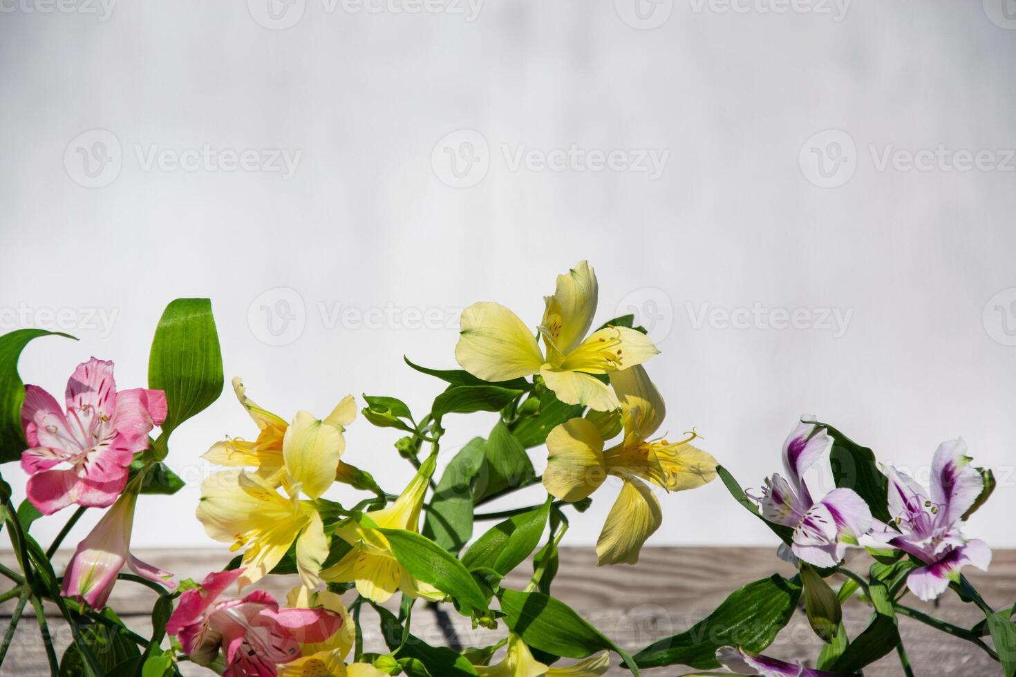 blommig arrangemang med delikat inka lilja blommor. ljus grunge bakgrund, plats för text. foto
