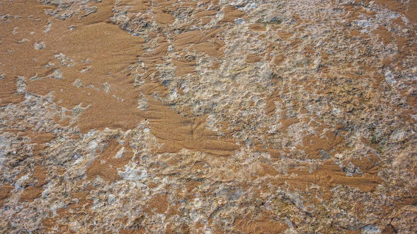 vågor kraschar på de vit sand strand foto