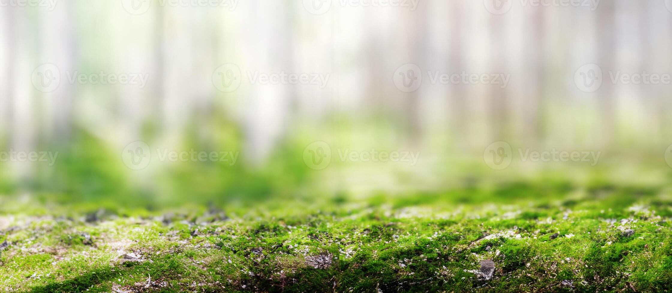 grön ekologi bakgrund foto