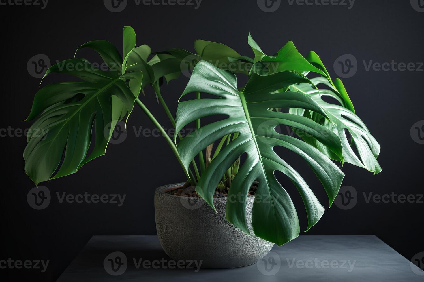 ai genererad monstera deliciosa inlagd växt. generera ai foto