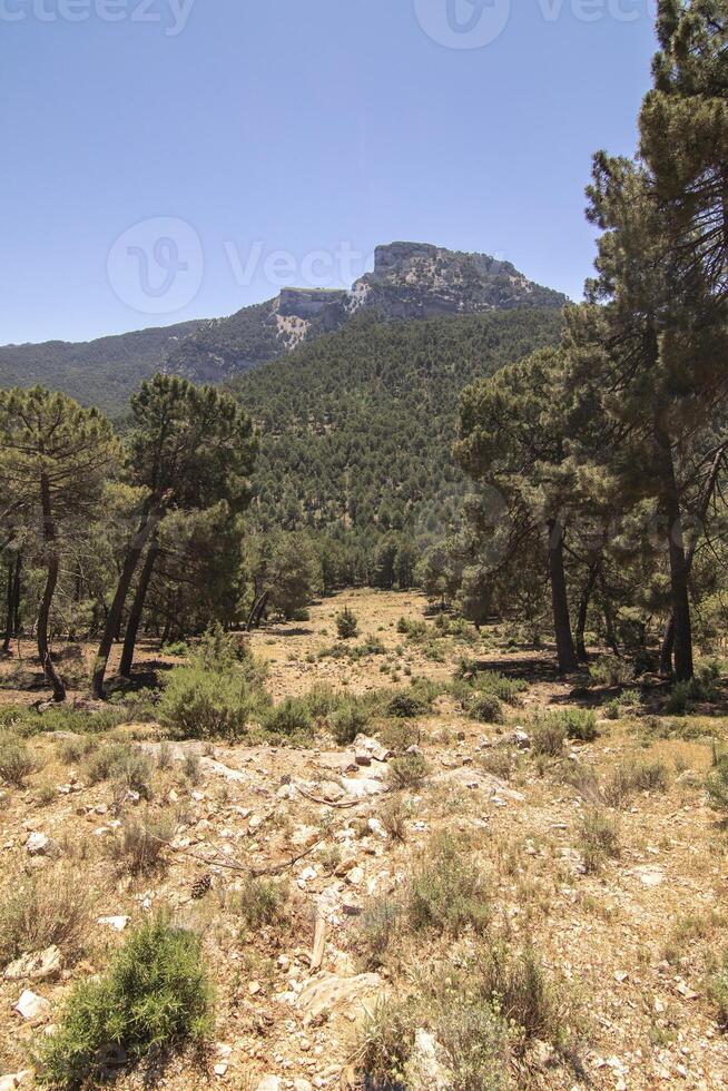 landskap och spår av de skön natur av de sierra de cazorla, jaen, Spanien. natur semester begrepp. foto