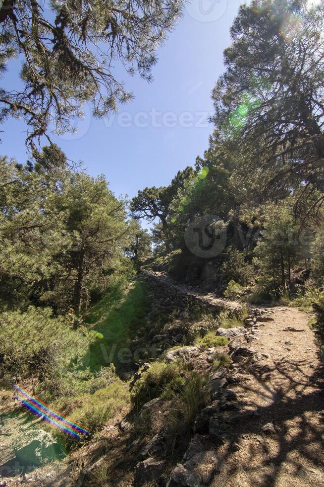landskap och spår av de skön natur av de sierra de cazorla, jaen, Spanien. natur semester begrepp. foto