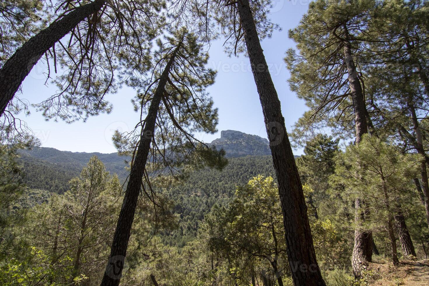 landskap och spår av de skön natur av de sierra de cazorla, jaen, Spanien. natur semester begrepp. foto