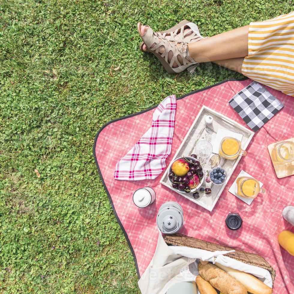 översikt kvinnas ben frukost picknick grönt gräs foto