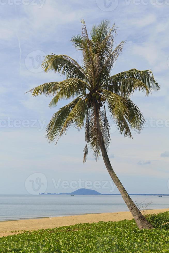 vacker tropisk strand i Thailand foto