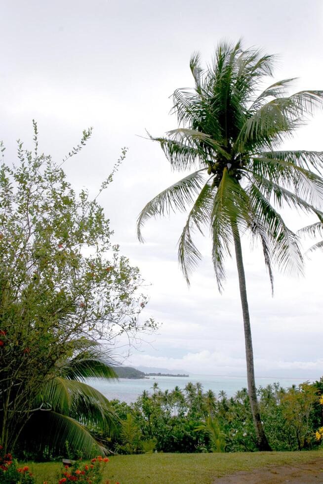 atmosfär bora bora nui tillflykt spa, en medlem av starwoods lyx samling bora bora, franska polynesien oktober 12, 2007 exklusiv foto
