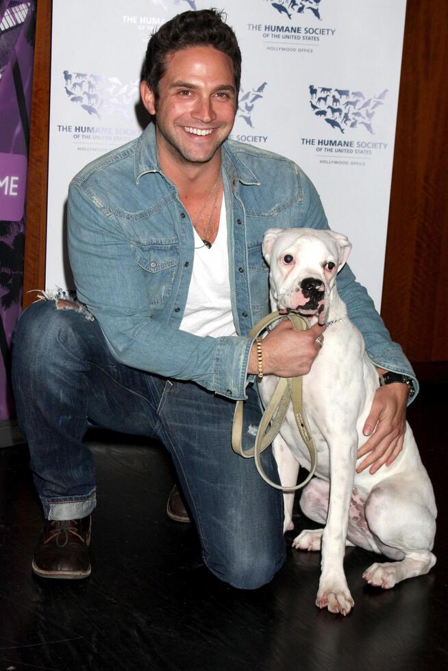 los angeles - nov 10 brandon barash ankommer på de rädda tassar reser utställning på w los angeles - westwood på november 10, 2010 i los angeles, ca foto