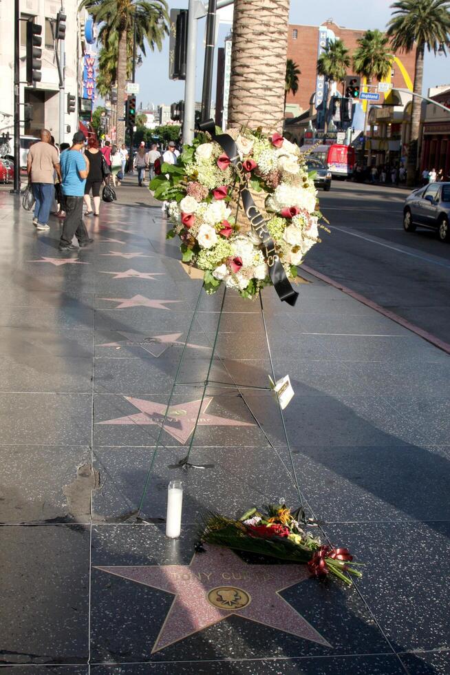 los angeles - sep 30 tony curtis stjärna minnesmärke krans på de hollywood promenad av berömmelse stjärna av tony curtis på hollywood promenad av berömmelse på september 30, 2010 i los angeles, ca foto